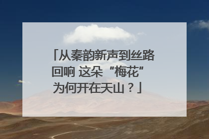 从秦韵新声到丝路回响 这朵“梅花”为何开在天山？