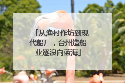 从渔村作坊到现代船厂，台州造船业逐浪向蓝海