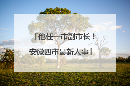 他任一市副市长！安徽四市最新人事