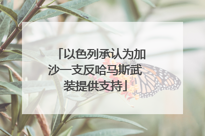 以色列承认为加沙一支反哈马斯武装提供支持