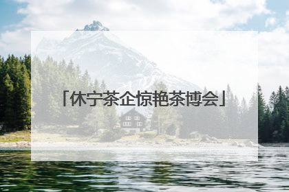 休宁茶企惊艳茶博会