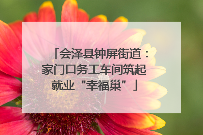 会泽县钟屏街道：家门口务工车间筑起就业“幸福巢”