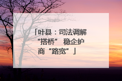 叶县：司法调解“搭桥” 稳企护商“路宽”