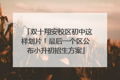 双十翔安校区初中这样划片！最后一个区公布小升初招生方案