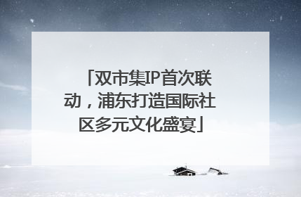 双市集IP首次联动，浦东打造国际社区多元文化盛宴