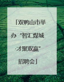 双鸭山市举办“智汇煤城·才聚双赢”招聘会