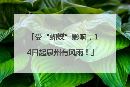 受“蝴蝶”影响，14日起泉州有风雨！