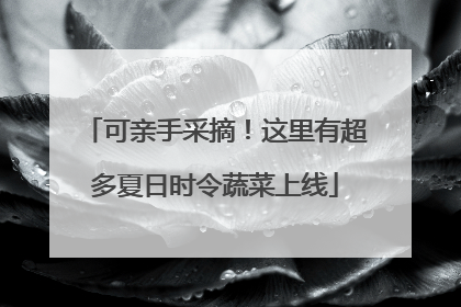 可亲手采摘！这里有超多夏日时令蔬菜上线