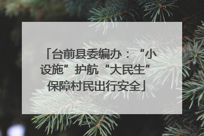 台前县委编办：“小设施”护航“大民生” 保障村民出行安全