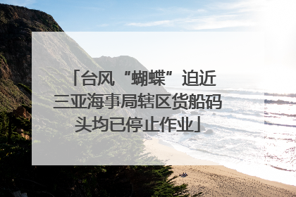 台风“蝴蝶”迫近 三亚海事局辖区货船码头均已停止作业