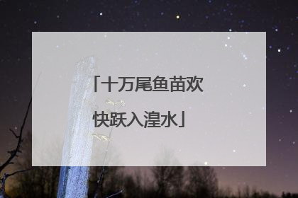 十万尾鱼苗欢快跃入湟水