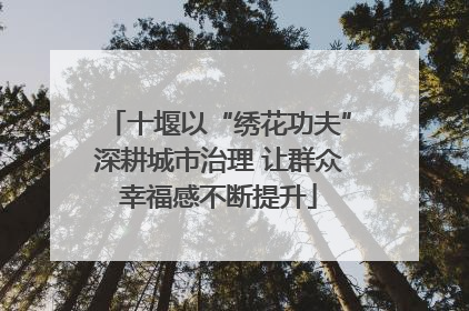 十堰以“绣花功夫”深耕城市治理 让群众幸福感不断提升