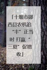 十堰市郧西县农机追“丰”正当时 打赢“三夏”促增收