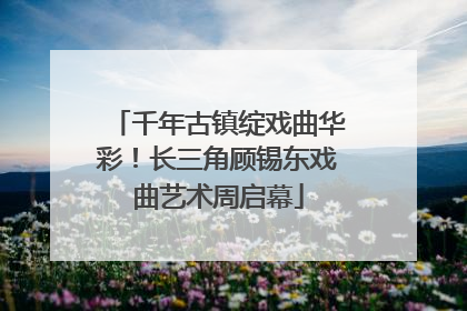 千年古镇绽戏曲华彩！长三角顾锡东戏曲艺术周启幕