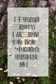 千里追耕·三夏时节丨战三夏保丰收 探索“中原粮仓”里的科技感