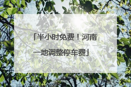半小时免费！河南一地调整停车费