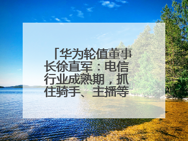 华为轮值董事长徐直军：电信行业成熟期，抓住骑手、主播等成长型需求