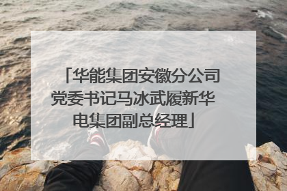 华能集团安徽分公司党委书记马冰武履新华电集团副总经理
