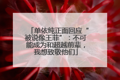 单依纯正面回应“被说像王菲”：不可能成为和超越前辈，我想致敬他们