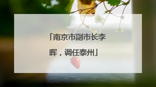 南京市副市长李晖，调任泰州