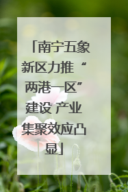 南宁五象新区力推“两港一区”建设 产业集聚效应凸显