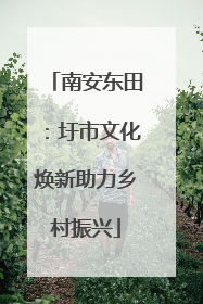 南安东田：圩市文化焕新助力乡村振兴