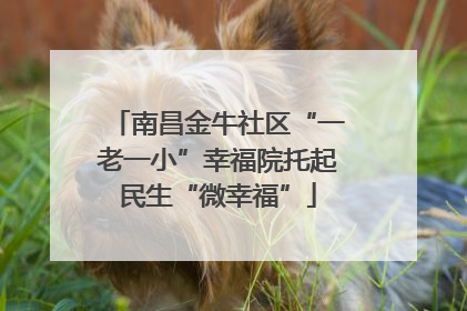 南昌金牛社区“一老一小”幸福院托起民生“微幸福”