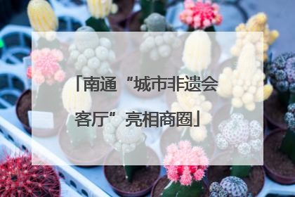 南通“城市非遗会客厅”亮相商圈