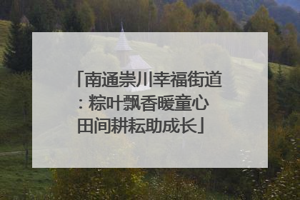 南通崇川幸福街道：粽叶飘香暖童心 田间耕耘助成长