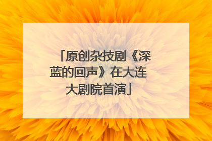 原创杂技剧《深蓝的回声》在大连大剧院首演