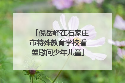 倪岳峰在石家庄市特殊教育学校看望慰问少年儿童