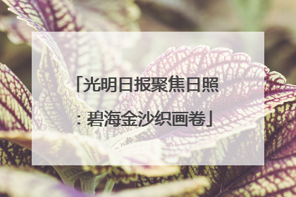光明日报聚焦日照：碧海金沙织画卷