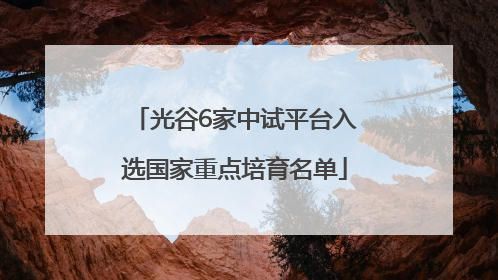 光谷6家中试平台入选国家重点培育名单