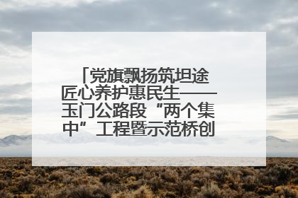 党旗飘扬筑坦途 匠心养护惠民生——玉门公路段“两个集中”工程暨示范桥创建项目圆满收官