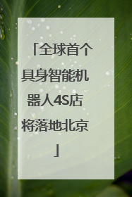 全球首个具身智能机器人4S店将落地北京