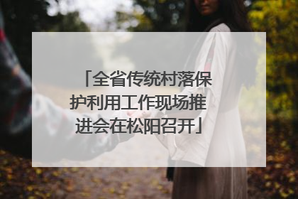 全省传统村落保护利用工作现场推进会在松阳召开