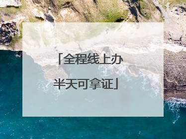 全程线上办 半天可拿证