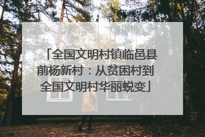 全国文明村镇临邑县前杨新村：从贫困村到全国文明村华丽蜕变