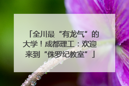 全川最“有龙气”的大学！成都理工：欢迎来到“侏罗纪教室”