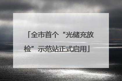 全市首个“光储充放检”示范站正式启用
