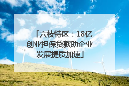 六枝特区：18亿创业担保贷款助企业发展提质加速