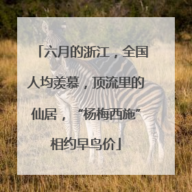 六月的浙江，全国人均羡慕，顶流里的仙居，“杨梅西施”相约早鸟价