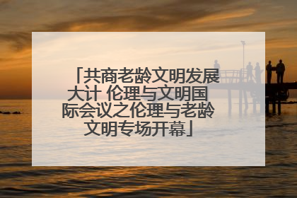 共商老龄文明发展大计 伦理与文明国际会议之伦理与老龄文明专场开幕