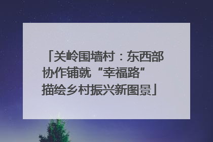 关岭围墙村：东西部协作铺就“幸福路” 描绘乡村振兴新图景