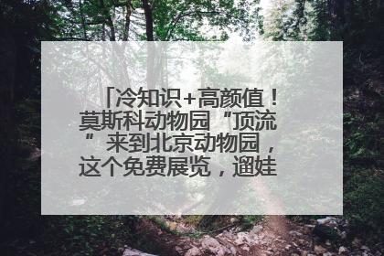 冷知识+高颜值！莫斯科动物园“顶流”来到北京动物园，这个免费展览，遛娃拍照两不误！