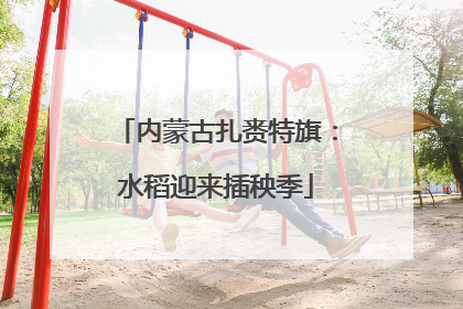 内蒙古扎赉特旗：水稻迎来插秧季