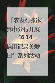 农发行张家界市分行开展“6.14 信用记录关爱日”系列活动