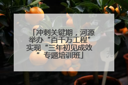 冲刺关键期，河源举办“百千万工程”实现“三年初见成效”专题培训班