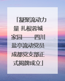 凝聚流动力量 扎根蓉城家园——四川盐亭流动党员成都党支部正式揭牌成立