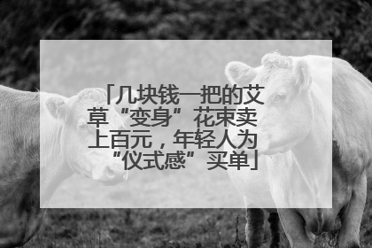 几块钱一把的艾草“变身”花束卖上百元，年轻人为“仪式感”买单